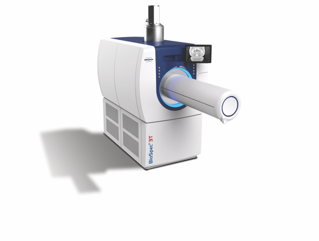 Preclinical Imaging Bruker