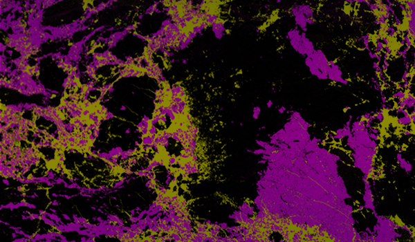 Evaluating Greenfield & Brownfield Mining Exploration Projects using ...