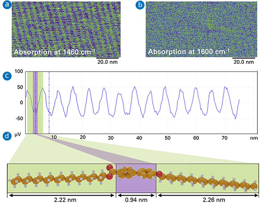 Tapping AFM-IR images of a monolayer sample of EsterOC18 on HOPG