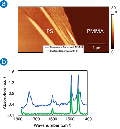 Topography and AFM-IR spectra of a ~30 nm PS layer on PMMA