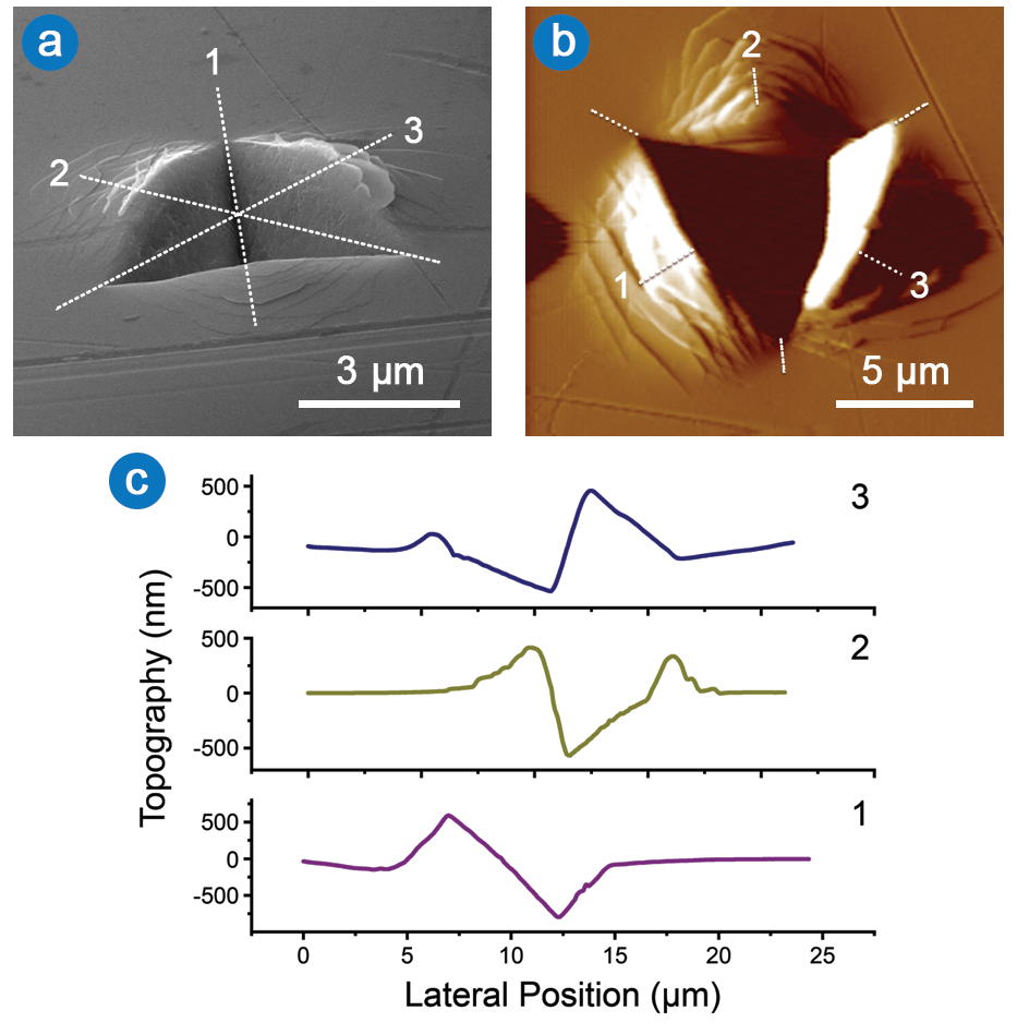 Hysitron PI 89 SEM PicoIndenter