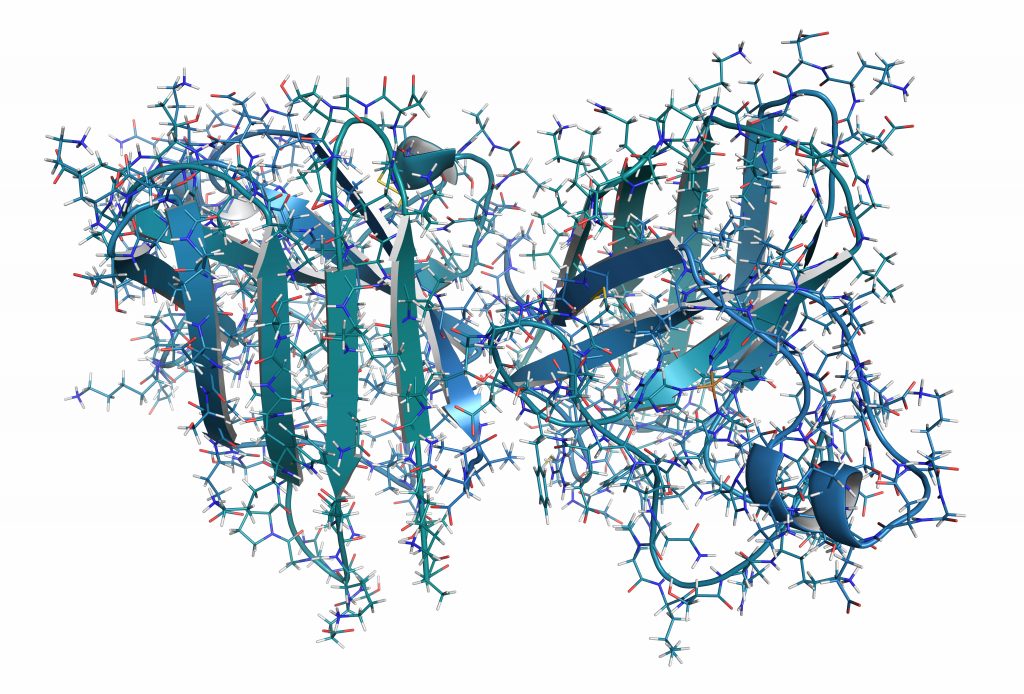 superoxide dismutase