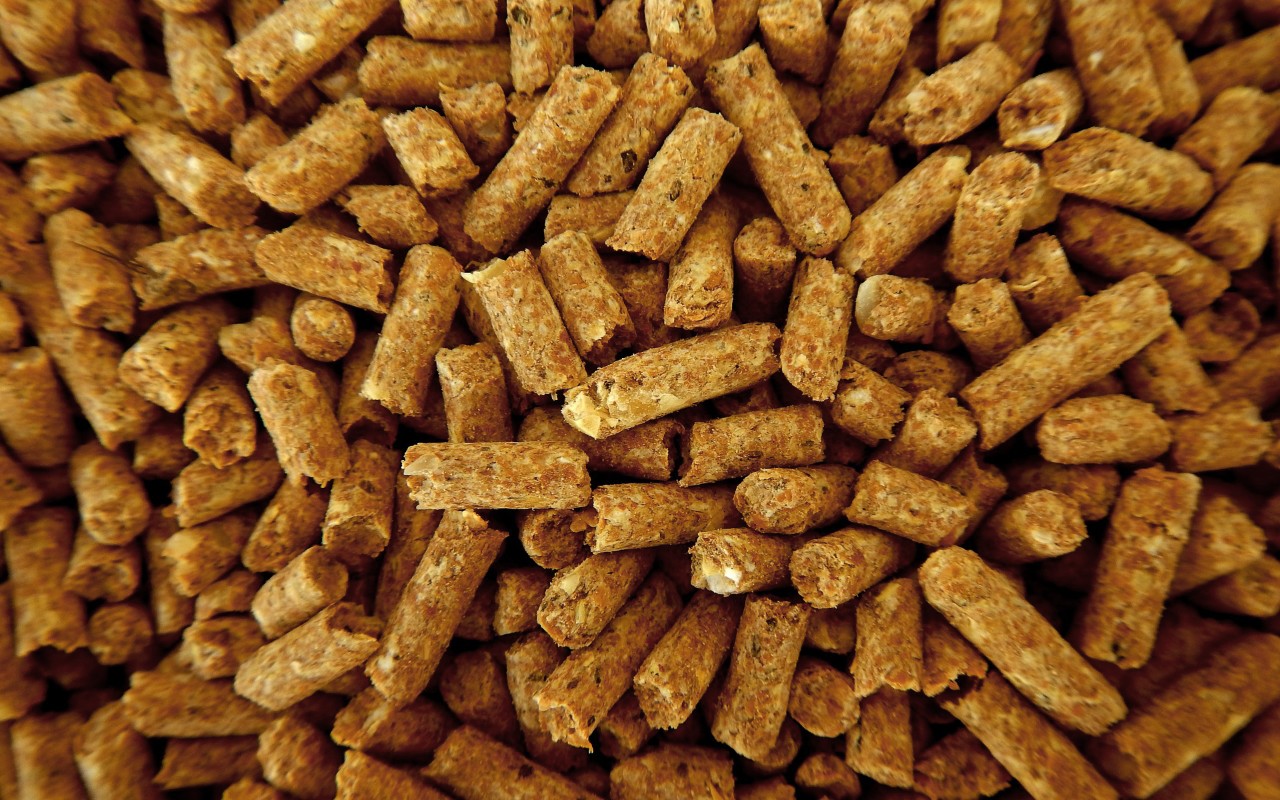 Pet feed hot sale