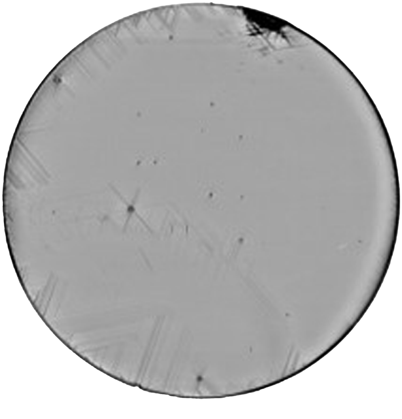 High-speed XRDI survey image of Si wafer with GaN epilayer showing multiple micropipes, dislocations, and slip