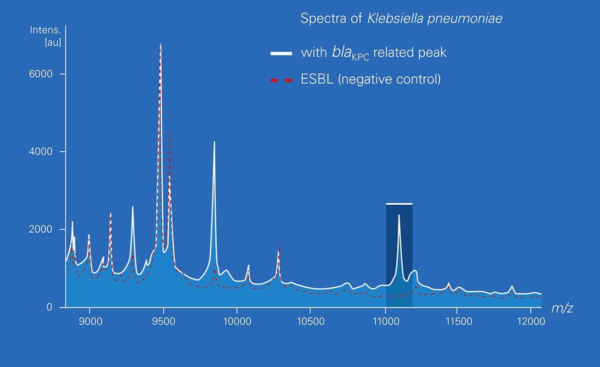 Software report showing spectra results for Klebsiella pneumoniae