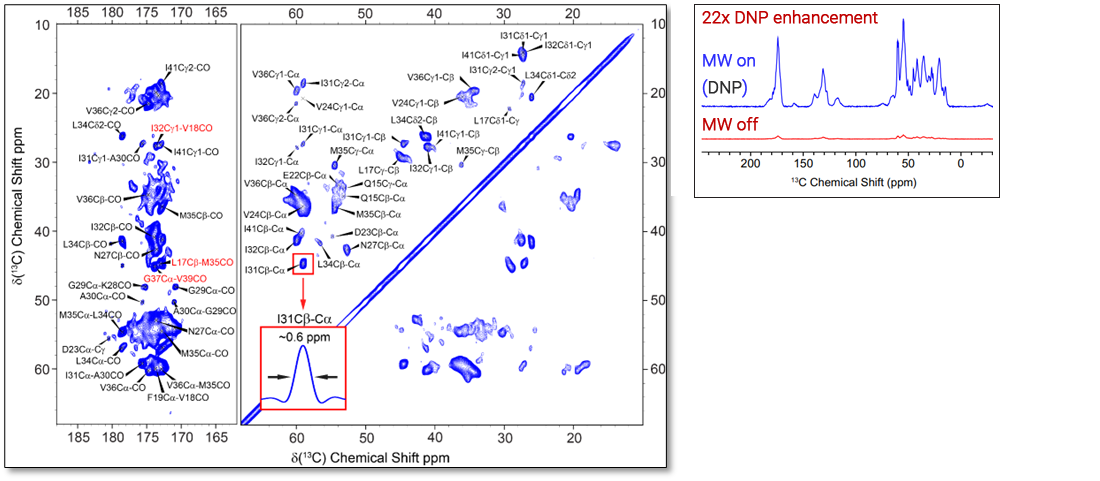 DNP-enhanced 13C-13C CORD-RFDR spectrum 