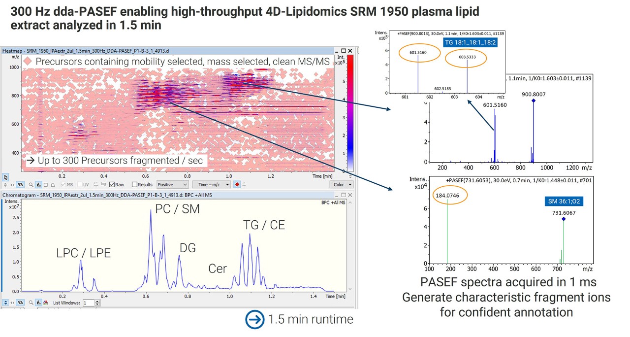 Rapid 4D LipidomicsTM in 1.5 min PASEF® spectra acquired in 1 ms 