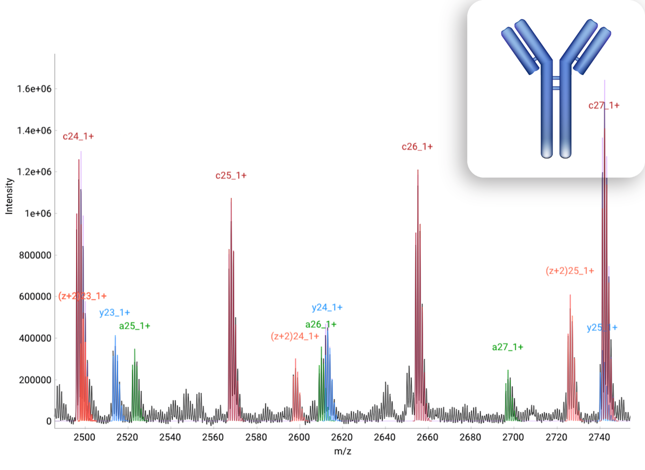 轻链NIST单克隆抗体的MALDI-TDS分析