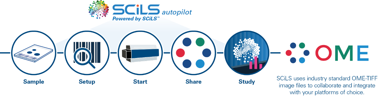 SCiLS™ Lab 采用通用的 OME-TIFF 图像文件，可以与您所选的其他平台无缝兼容
