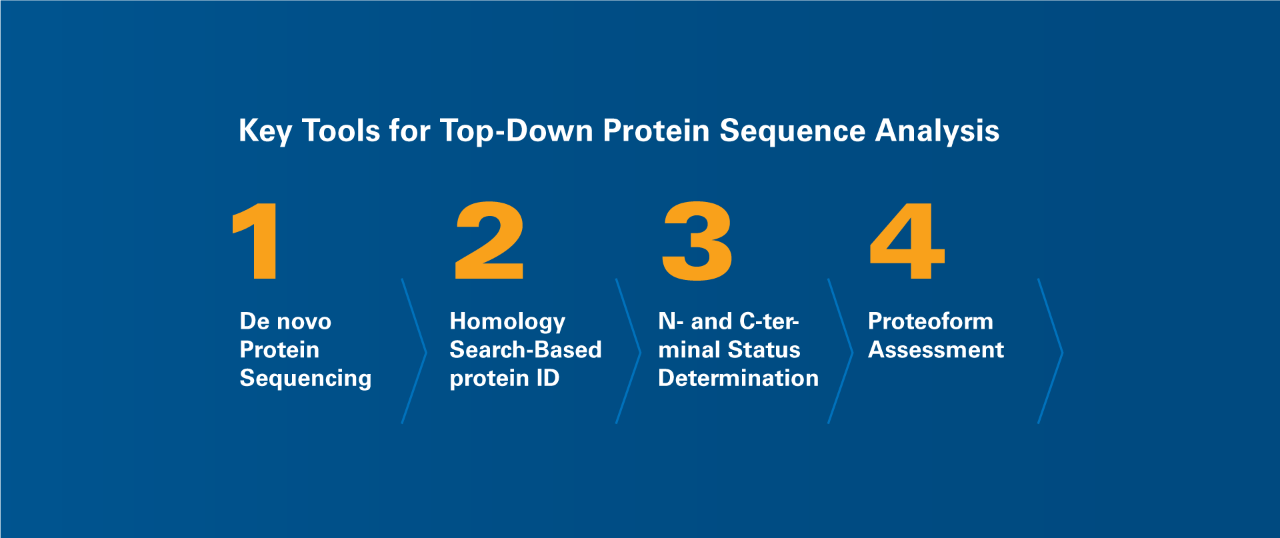 Top-down蛋白质序列分析的有力工具